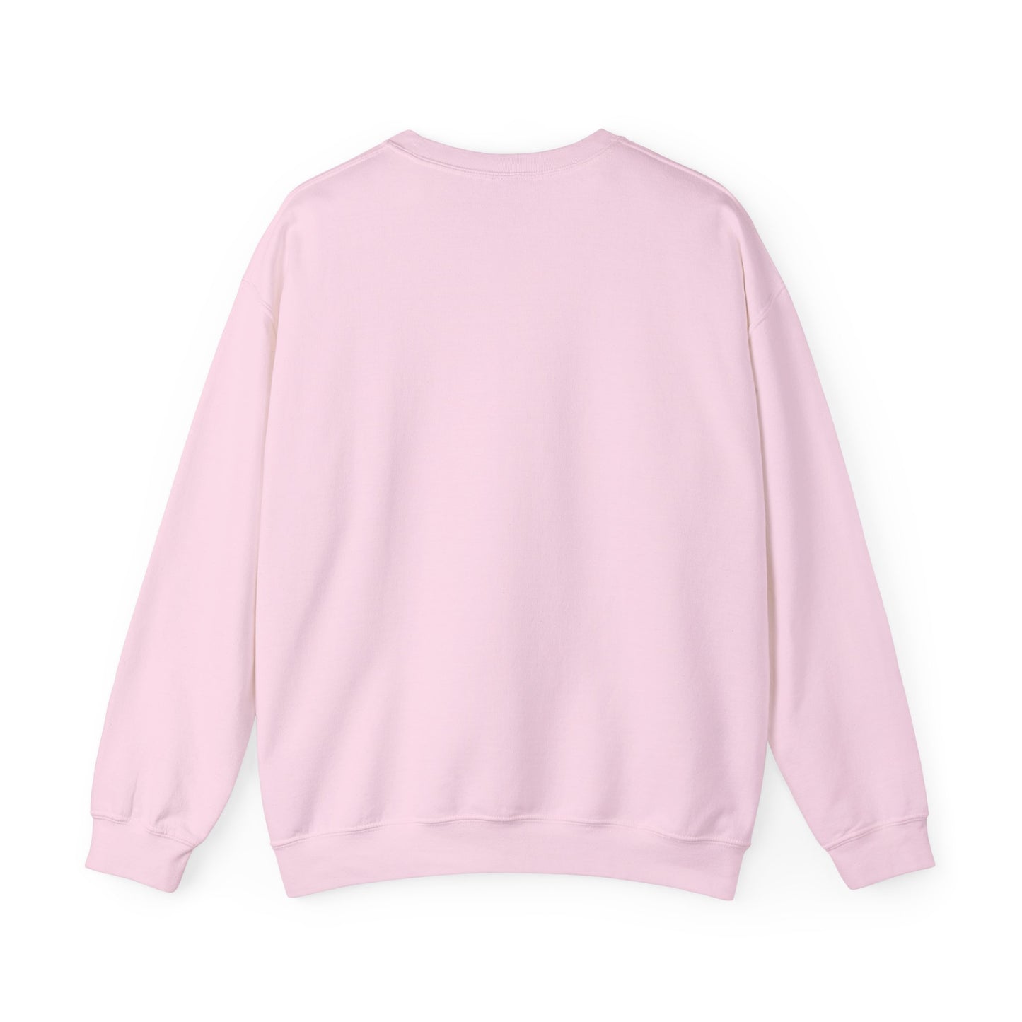 UDR8D Cares — Limited Edition BCA Sweater